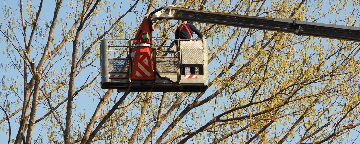 Introduzione al Noleggio Piattaforme Aeree Tiburtina Noleggio Piattaforme Aeree Tiburtina